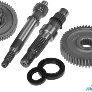 Merkkituote Täydellinen vaihteisto Eco V 15/51 - 16/52, 139QMB/QMA (GY6 50) 4T