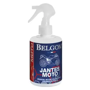 Viimeinen Mahdollisuus Belgom 250 ml Universal Vannekoneen puhdistusaine